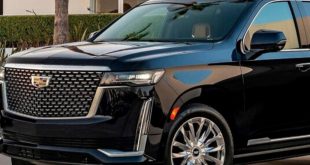 اتحاد قبائل سيناء