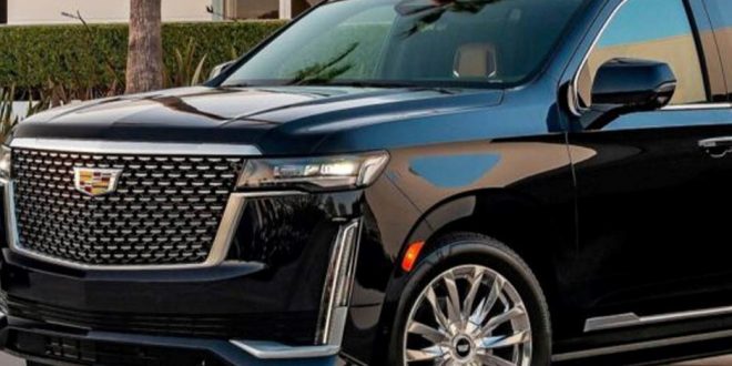 اتحاد قبائل سيناء