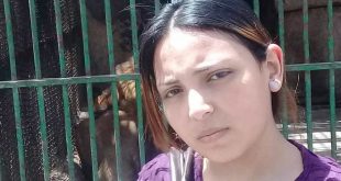 الكنيسة القبطية