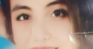 الكنيسة القبطية