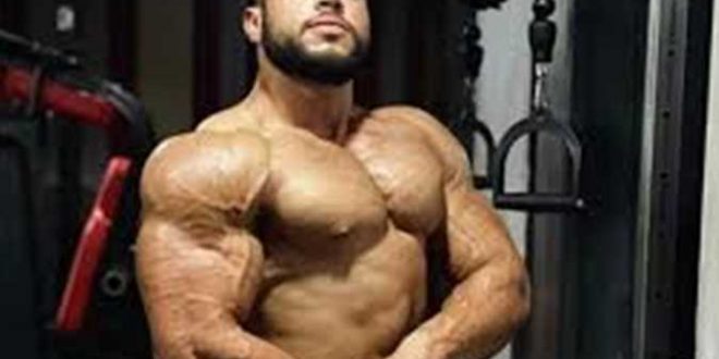 الإسكندرية