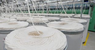 الصناعة المصرية