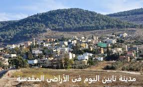 الكنيسة القبطية