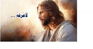 الكنيسة القبطية