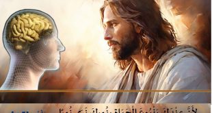 الكنيسة القبطية