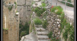 الكنيسة القبطية