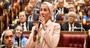 الحكومة المصرية