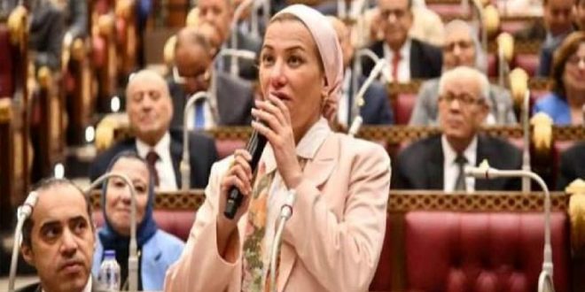 الحكومة المصرية