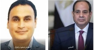 الحكومة المصرية