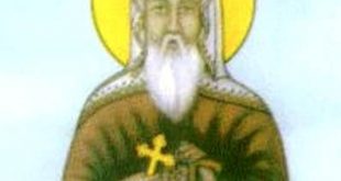 الكنيسة القبطية