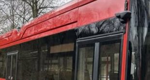 الصناعة امصرية