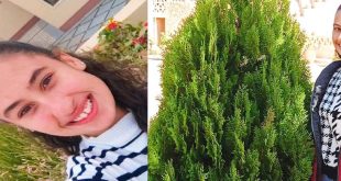 الكنيسة القبطية