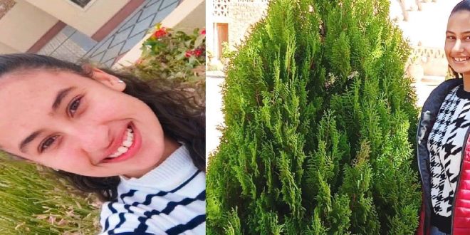 الكنيسة القبطية