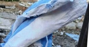 الداخلية المصرية