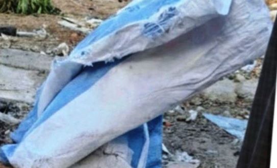 الداخلية المصرية