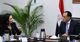 الحكومة المصرية