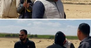 الكنيسة القبطية