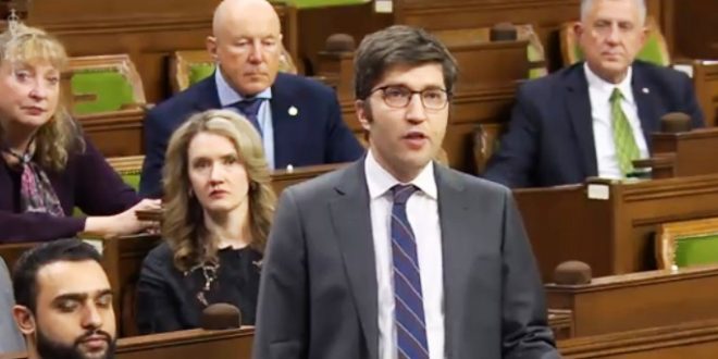 الكنيسة القبطية